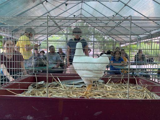 La prima edizione di SeminArt si chiude agli Orti Generali con "Il racconto dell'orto"