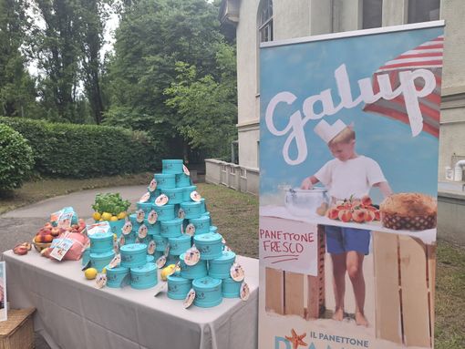 Viaggio alla scoperta del panettone Galup, orgoglio piemontese e nazionale Viaggio alla scoperta del panettone Galup, orgoglio piemontese e nazionale
