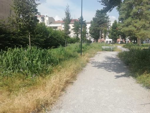 Giardino pubblico di Parella Giardino pubblico di Parella