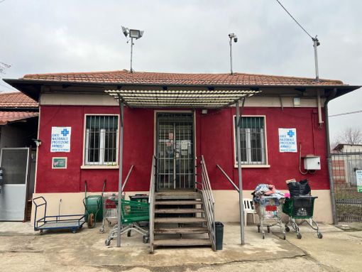 Canile di via Germagnano, l'Enpa rassicura: "Cani e gatti sono al caldo" Canile di via Germagnano, l'Enpa rassicura: "Cani e gatti sono al caldo"