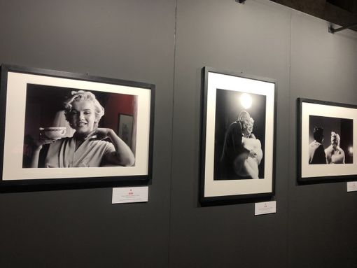 Marilyn Forever Stupinigi