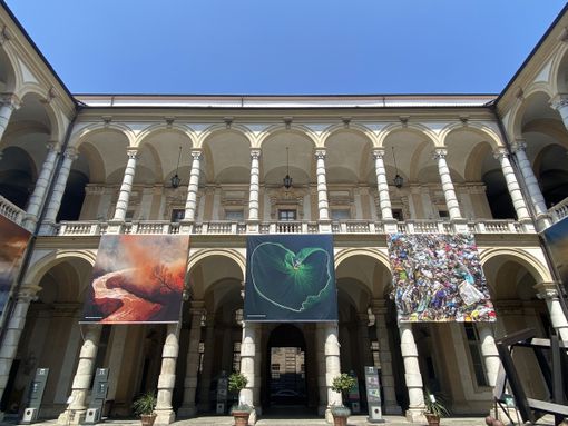 CinemAmbiente: apre la mostra &quot;The Environmental Photographer of the Year&quot;