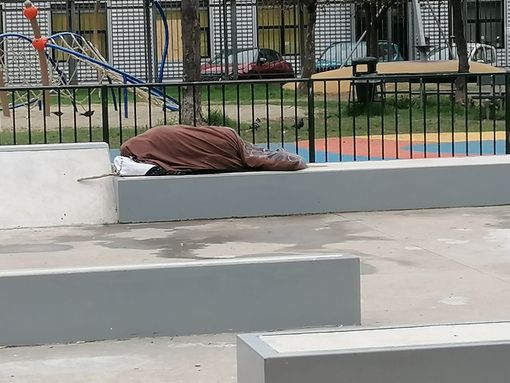 Padre e figlio insultati ai giardini Madre Teresa di Calcutta: "Dovete andare via di qui" Padre e figlio insultati ai giardini Madre Teresa di Calcutta: "Dovete andare via di qui"