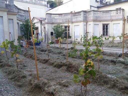 Vigna a Palazzo Birago Vigna a Palazzo Birago