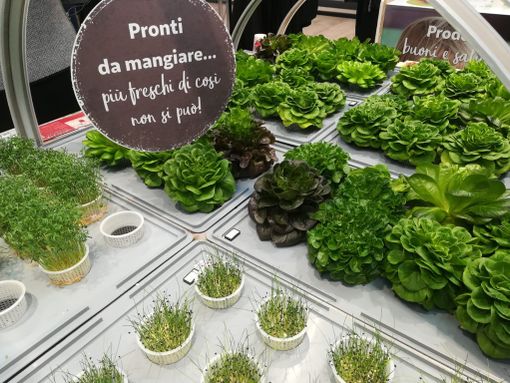 Lo storico Auchan di corso Romania si rinnova e presenta un nuovo modo di vivere lo shopping