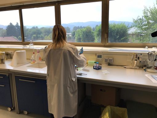 Istituto zooprofilattico, Icardi: "Ottima cosa l'assunzione di 50 giovani ricercatori"