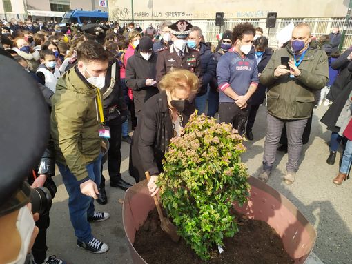 L'Albero della Legalità trova casa a Borgo Dora grazie a Maria Falcone e al Cottolengo L'Albero della Legalità trova casa a Borgo Dora grazie a Maria Falcone e al Cottolengo
