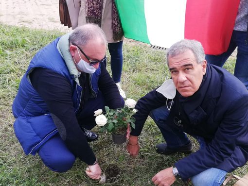 Giardino vittime delle foibe, Liardo–Ballatore (FdI): “Rosa piantumata in memoria di Norma Cossetto, restituita dignità a luogo dimenticato dall'amministrazione”