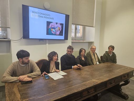 conferenza m5s e foto cani uccisi conferenza m5s e foto cani uccisi