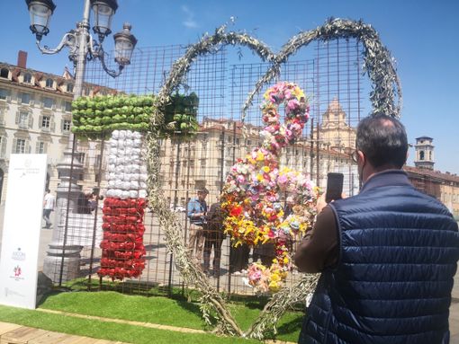 maestri del gusto maestri del gusto