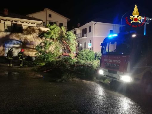 Livello del Po salito di 5 metri nelle ultime 48 ore. Coldiretti: &quot;Monitoriamo la situazione&quot;