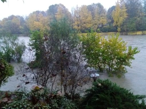 Piena del Po, Unia: &quot;Finora nessun danno grave, me teniamo d'occhio il Fioccardo&quot;