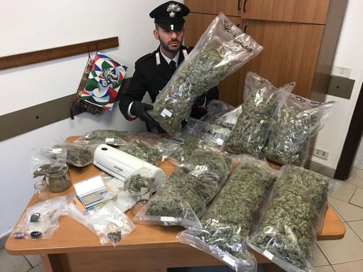Il &quot;Murdoch&quot; della marijuana fermato con quasi 3 chili e mezzo di droga