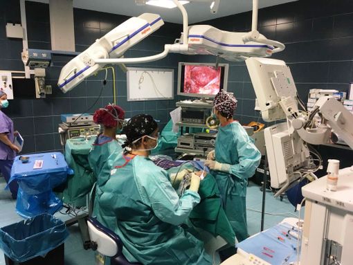 Bimba libanese di tre anni salvata al Regina Margherita grazie al trapianto di midollo osseo donato dal padre Bimba libanese di tre anni salvata al Regina Margherita grazie al trapianto di midollo osseo donato dal padre