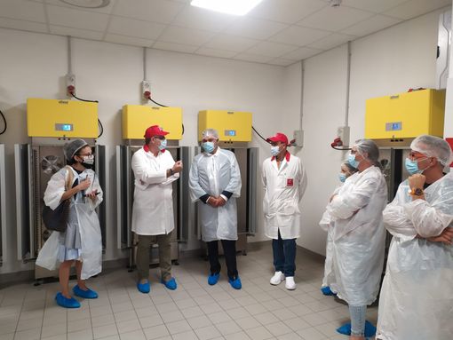 Molinette, il servizio di ristorazione diventa “intelligente”: 130mila pasti al mese per degenti e dipendenti Molinette, il servizio di ristorazione diventa “intelligente”: 130mila pasti al mese per degenti e dipendenti