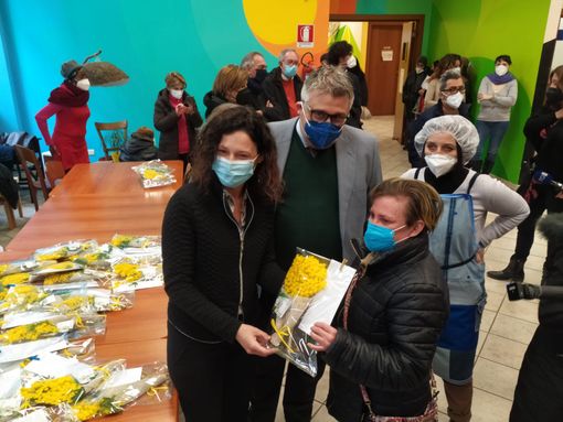 mimose solidali legacoop mimose solidali legacoop