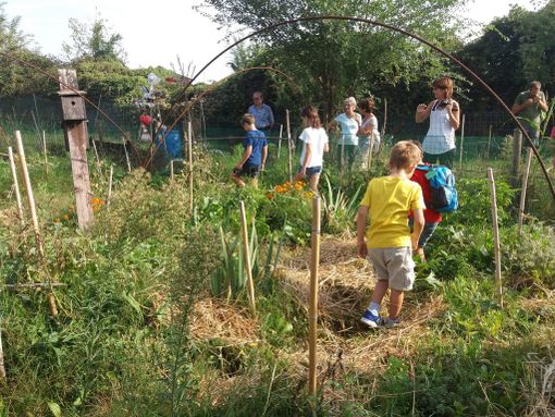 Dove i Savoia guardavano i fiori e ora sorgono orti urbani: Mirafiori agricola ieri e oggi [FOTO]