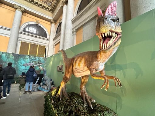 Dal Tirannosauro allo Spinosauro: a Porta Nuova sono tornati i Dinosauri Dal Tirannosauro allo Spinosauro: a Porta Nuova sono tornati i Dinosauri