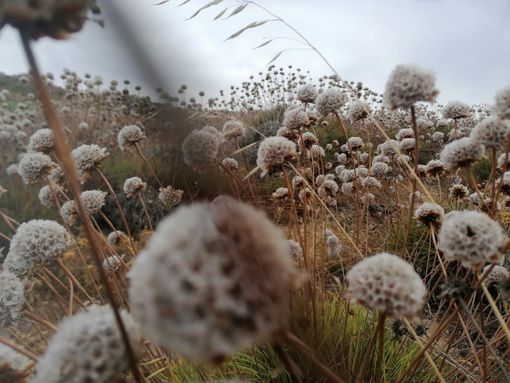 Dal 24 marzo, al via &quot;Before and after science&quot;