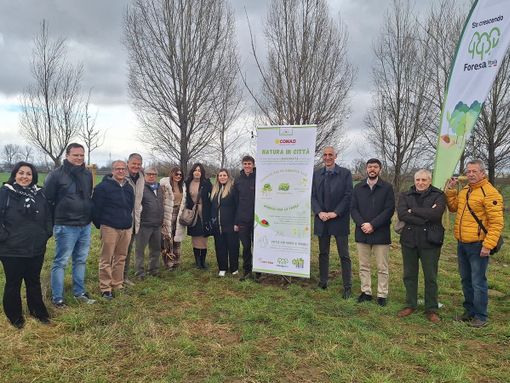 Torino pianta il suo futuro: nuovi alberi e un Bug Hotel ai Laghetti di Falchera Torino pianta il suo futuro: nuovi alberi e un Bug Hotel ai Laghetti di Falchera