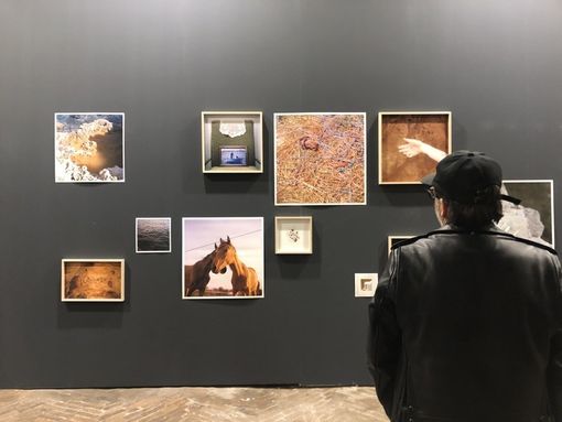 Liquida Photofestival, la kermesse della fotografia emergente torna alla Cavallerizza