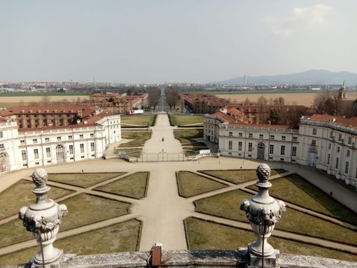 Con “La regina e la sua corte” la Palazzina di Stupinigi si apre al mondo delle api Con “La regina e la sua corte” la Palazzina di Stupinigi si apre al mondo delle api
