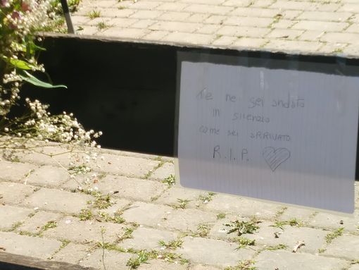 Parella, fiori e biglietti per il senzatetto morto sulla panchina Parella, fiori e biglietti per il senzatetto morto sulla panchina
