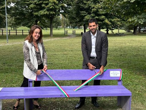 Inaugurata al parco Porporati di Grugliasco la panchina viola, simbolo della lotta all'epilessia