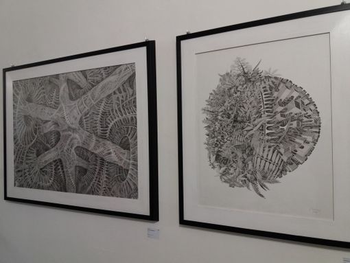 Paratissima 2017: addio Torino Esposizioni, benvenuta caserma “La Marmora”