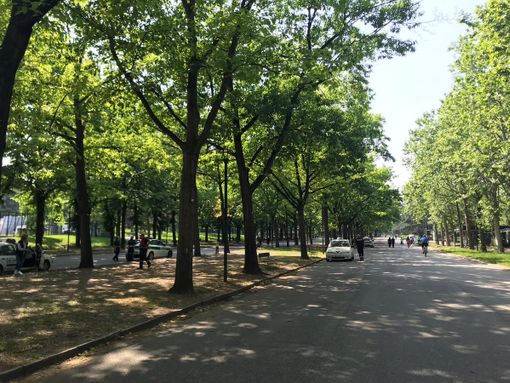 A Chieri da lunedì aperte tutte le aree verdi per lo sport