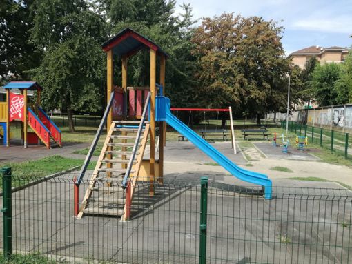 Domani al Parco Rignon il taglio di un grosso faggio, da tempo malato e a rischio di caduta Domani al Parco Rignon il taglio di un grosso faggio, da tempo malato e a rischio di caduta