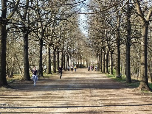 Il parco della Colletta