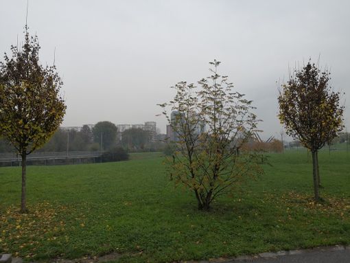 Al via domani indagini per trovare buche nascoste al Parco Dora: ingresso pedonale vietato nell'area ex Ingest Al via domani indagini per trovare buche nascoste al Parco Dora: ingresso pedonale vietato nell'area ex Ingest