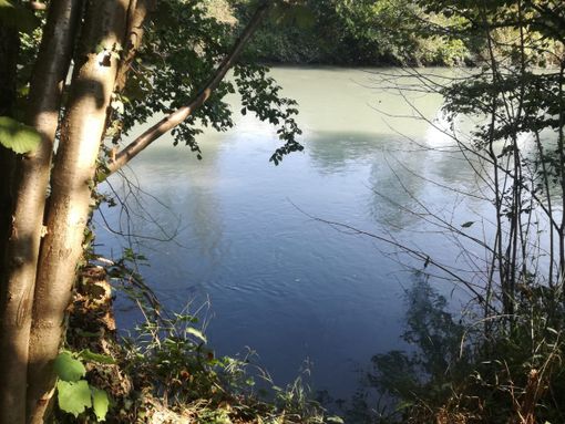 La Regione assegna 2 milioni di euro di contributi ai consorzi di bonifica La Regione assegna 2 milioni di euro di contributi ai consorzi di bonifica