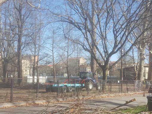 Verde pubblico, 950 mila euro per la messa in sicurezza del parco Michelotti