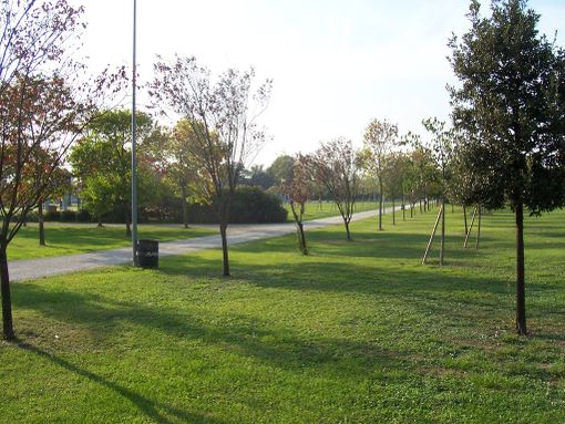 Passeggiata nel Bosco Incantanto fa tappa al Parco della Maddalena Passeggiata nel Bosco Incantanto fa tappa al Parco della Maddalena