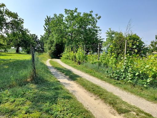 percorso cicloturistico percorso cicloturistico