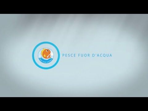 Nichelino, oggi pomeriggio torna la manifestazione &quot;Pesce fuor d'acqua&quot;