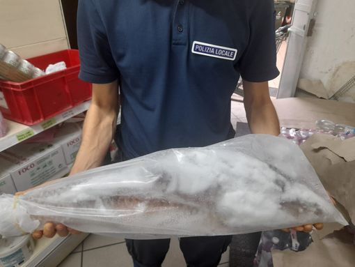 Controllo in un minimarket di Lungo Dora Napoli: trovati 242 chili di pesce mal conservato