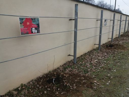 Piantumazione dei roseti al Mausoleo della Bela Rosin