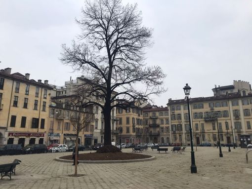 piazza arbarello