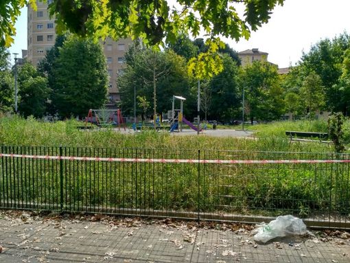 Parcheggio “selvaggio” e scarsa sicurezza stradale: la Città vuole ripensare la viabilità in piazza Toti