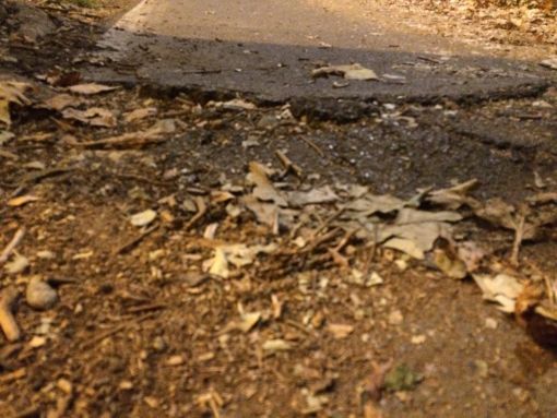 Ciclisti costretti a peripezie alla Indiana Jones (fotogallery)