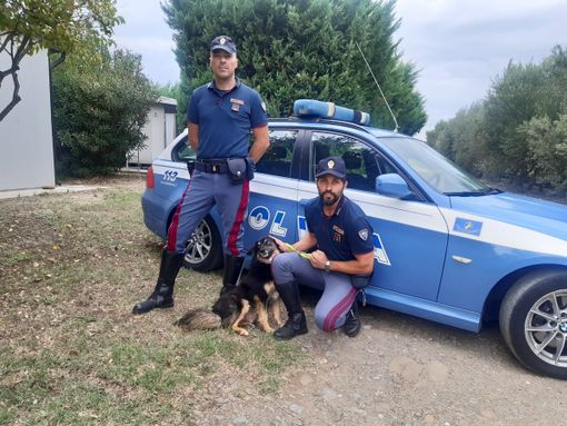 #Senontiportononparto: la Polizia contro l'abbandono degli animali #Senontiportononparto: la Polizia contro l'abbandono degli animali
