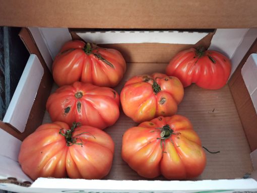 Il cibo donato per il Natale dal Borgo Rossini