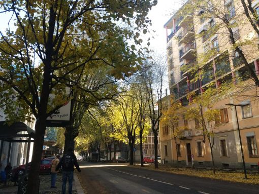 La richiesta di Coldiretti Piemonte: "incrementare il verde nelle città piemontesi contro caldo e smog”