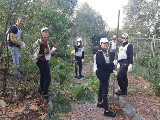 pulizia villa genero