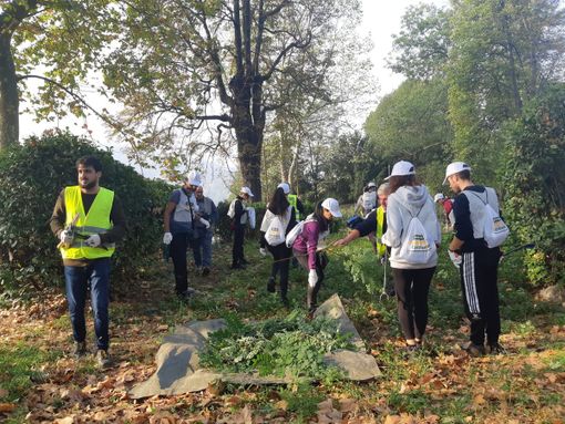 Immagine di repertorio