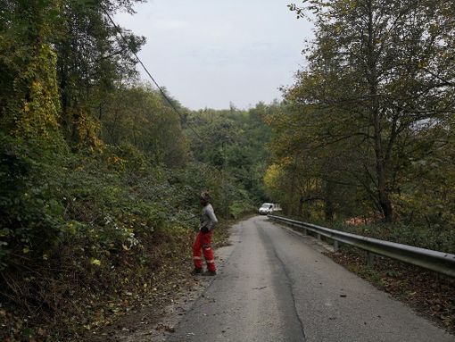 La Circoscrizione 7 “pulisce” la collina: completati diversi interventi (FOTO) La Circoscrizione 7 “pulisce” la collina: completati diversi interventi (FOTO)