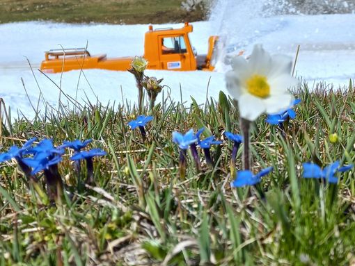 Da domani riapertura totale per la strada provinciale 50 del Colle del Nivolet